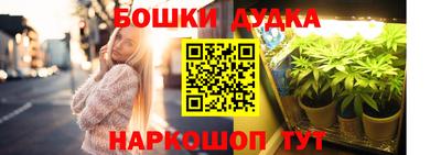 бошки Будённовск