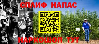 ПСИЛОЦИБИНОВЫЕ ГРИБЫ Бузулук