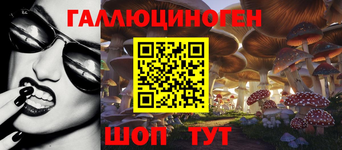 Галлюциногенные грибы Psilocybe Воркута